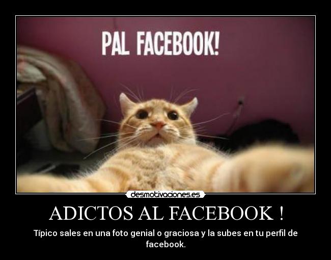 ADICTOS AL FACEBOOK ! -