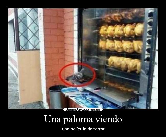 Una paloma viendo - una película de terror