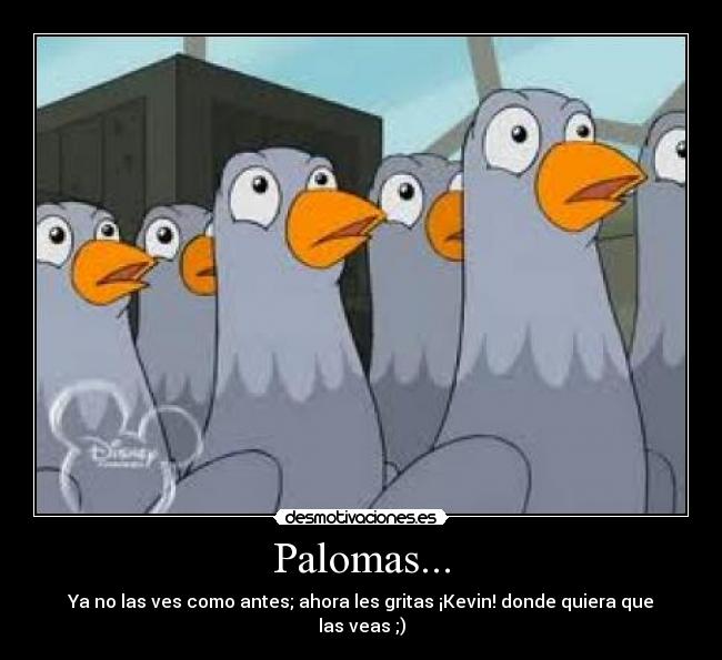 Palomas... -