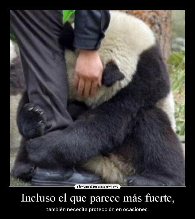 Incluso el que parece más fuerte, -