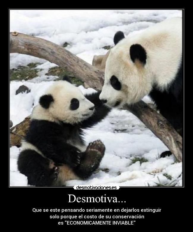 carteles wdw desmotivaciones