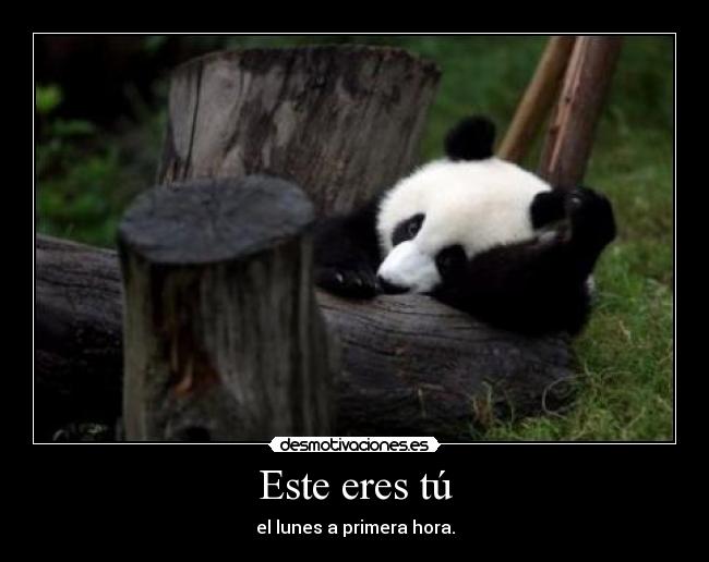 Este eres tú - el lunes a primera hora.