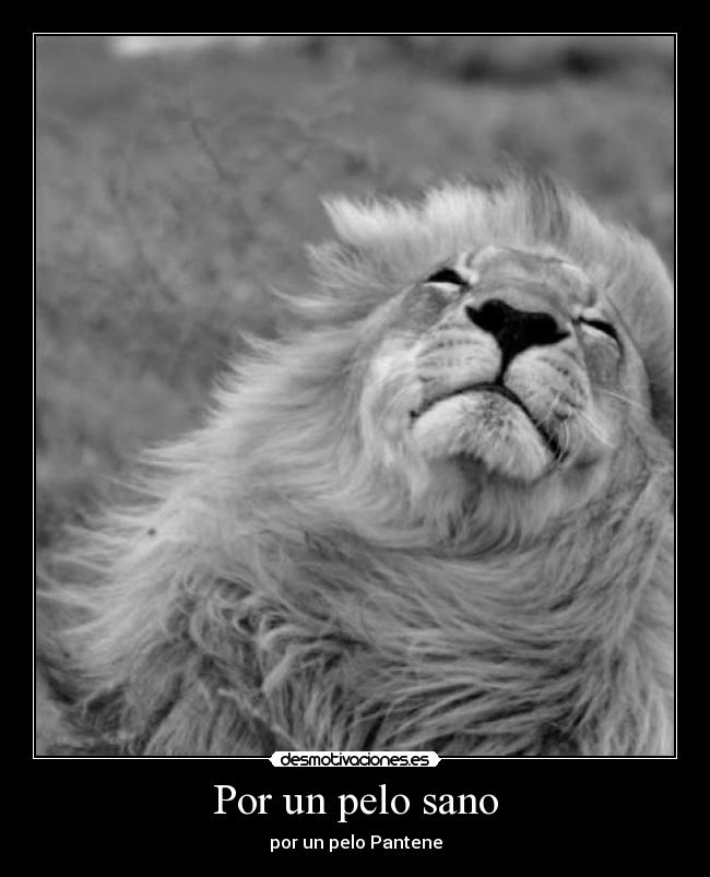 carteles momentazos benatural desmotivaciones