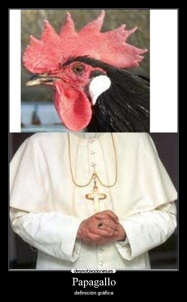 carteles papagallo definicion grafica desmotivaciones