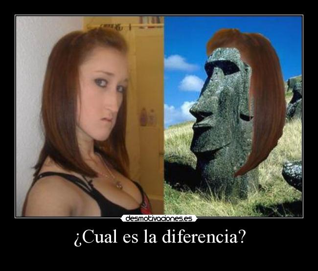 ¿Cual es la diferencia? -