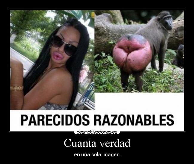 Cuanta verdad - en una sola imagen.