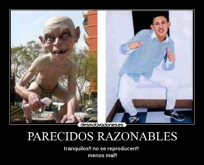 PARECIDOS RAZONABLES - tranquilos!! no se reproducen!!
menos mal!!