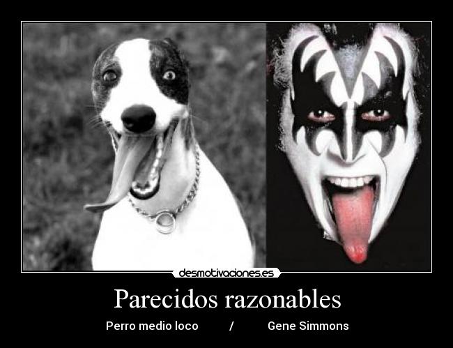 Parecidos razonables - Perro medio loco           /            Gene Simmons