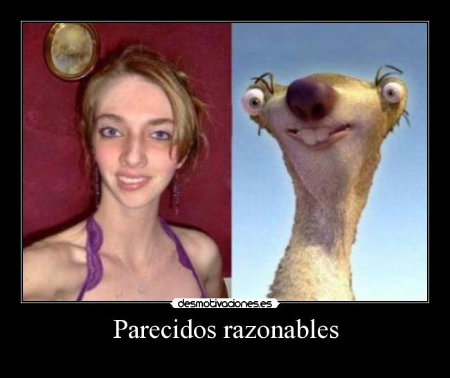Parecidos razonables -