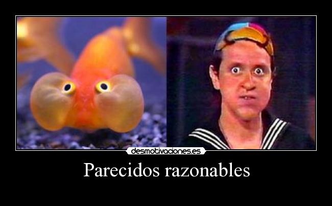 Parecidos razonables -