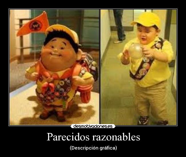 Parecidos razonables - (Descripción gráfica)