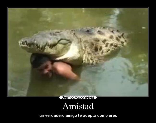Amistad - un verdadero amigo te acepta como eres