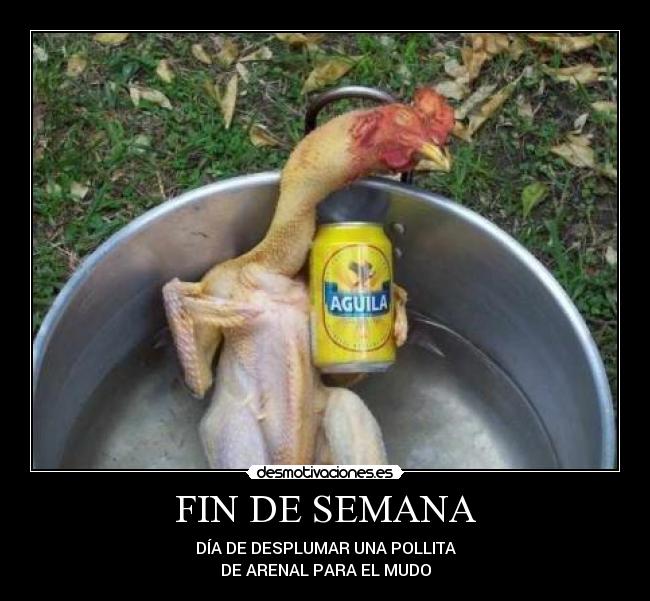 carteles antonio florez desmotivaciones