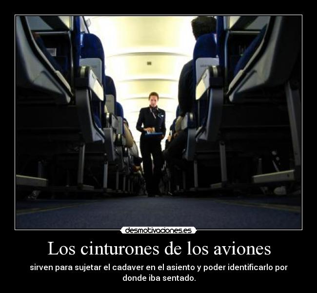 Los cinturones de los aviones - sirven para sujetar el cadaver en el asiento y poder identificarlo por
donde iba sentado.