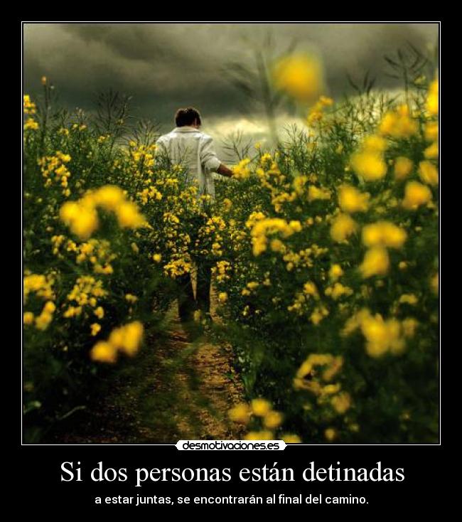 Si dos personas están detinadas - a estar juntas, se encontrarán al final del camino.