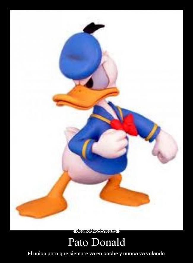Pato Donald -