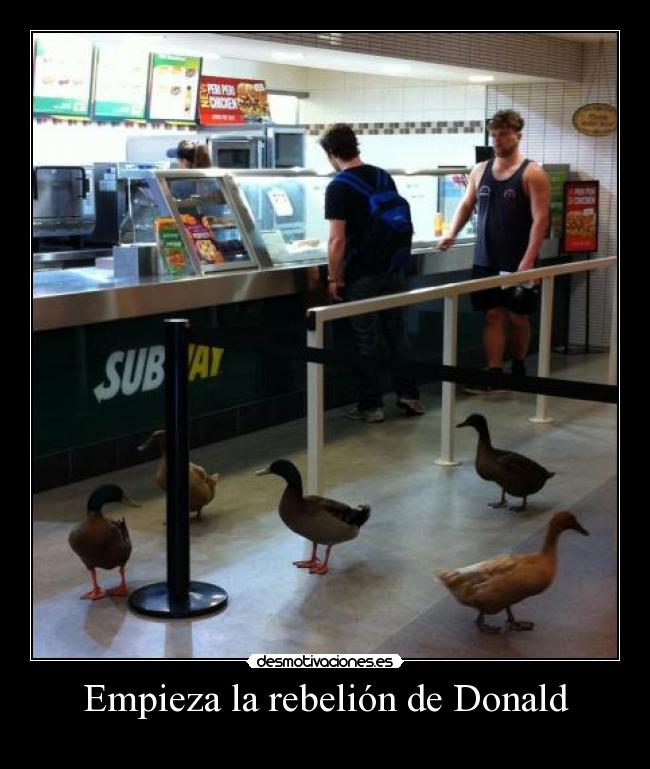 Empieza la rebelión de Donald -