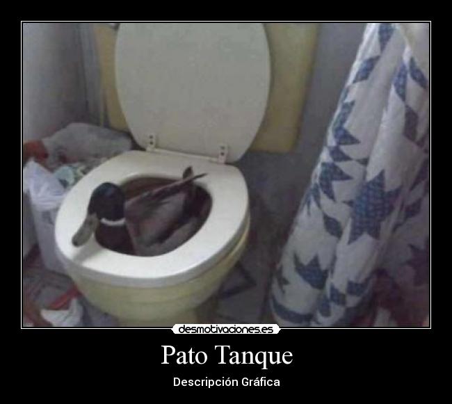 Pato Tanque -