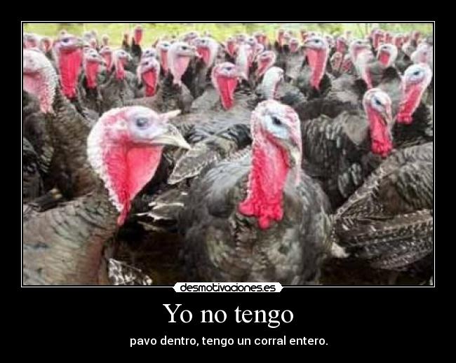 carteles pavo desmotivaciones