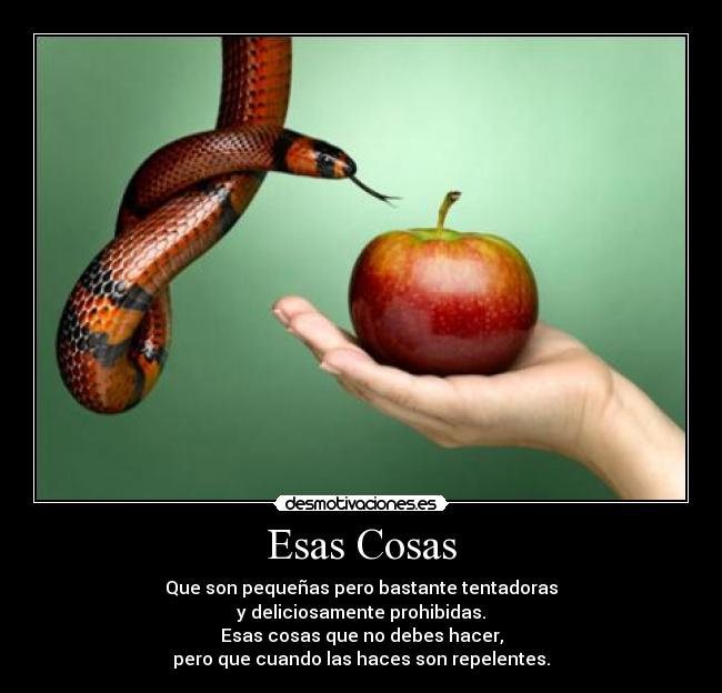 Esas Cosas - Que son pequeñas pero bastante tentadoras
y deliciosamente prohibidas.
Esas cosas que no debes hacer,
pero que cuando las haces son repelentes.