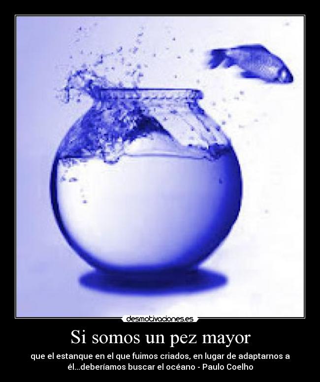 Si somos un pez mayor - que el estanque en el que fuimos criados, en lugar de adaptarnos a
él...deberíamos buscar el océano - Paulo Coelho