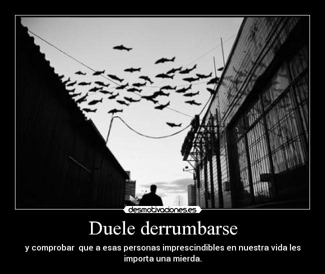 Duele derrumbarse - y comprobar que a esas personas imprescindibles en nuestra vida les
importa una mierda.