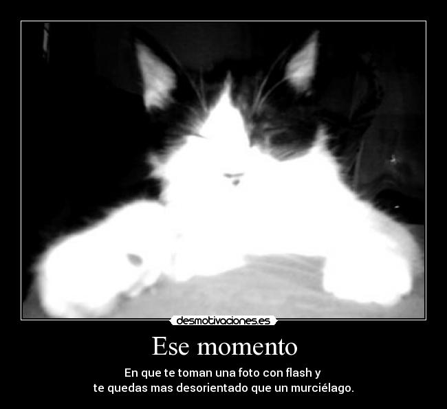 Ese momento - En que te toman una foto con flash y
te quedas mas desorientado que un murciélago.