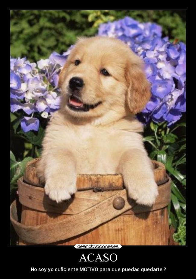 ACASO - No soy yo suficiente MOTIVO para que puedas quedarte ?