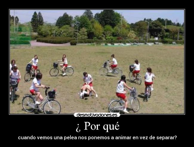 ¿ Por qué - cuando vemos una pelea nos ponemos a animar en vez de separar?