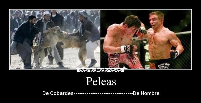 Peleas - De Cobardes--------------------------------De Hombre