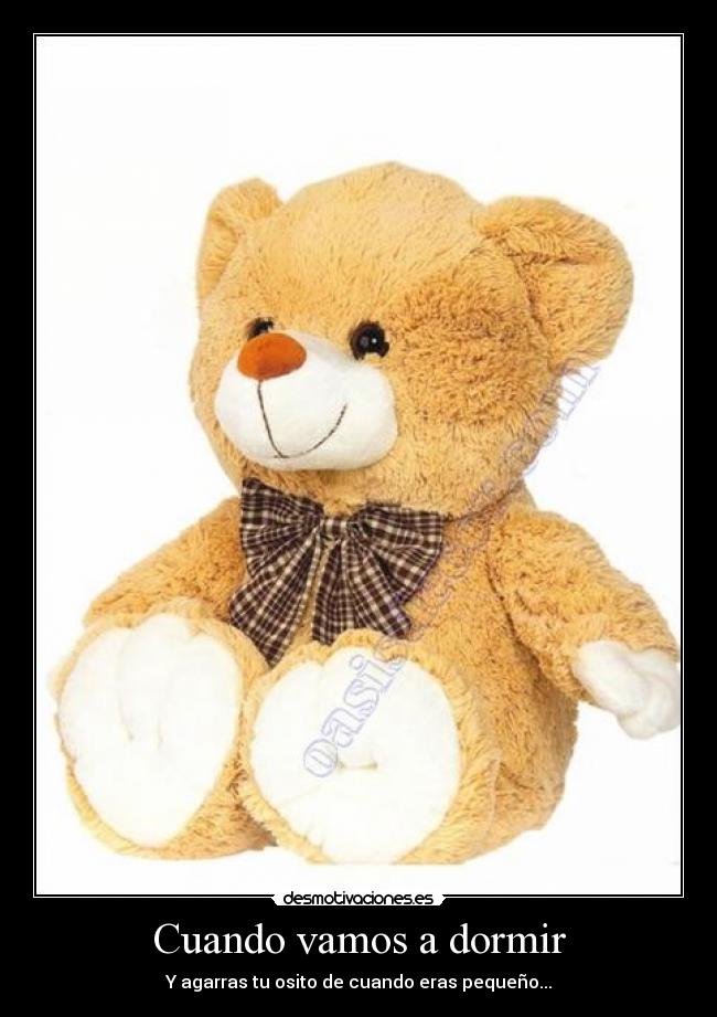 carteles dormir cuando vamos dormir osito pelcuhe cojer esturjarlo jaja lol desmotivaciones