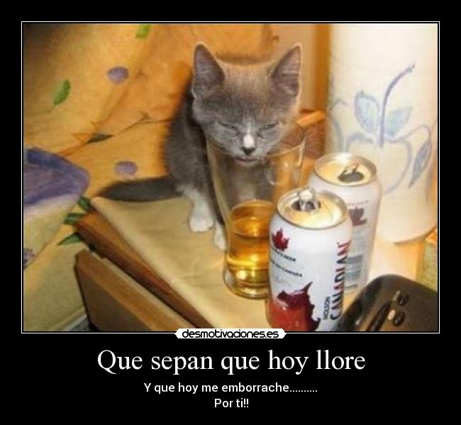 carteles una cancion que desmotivaciones