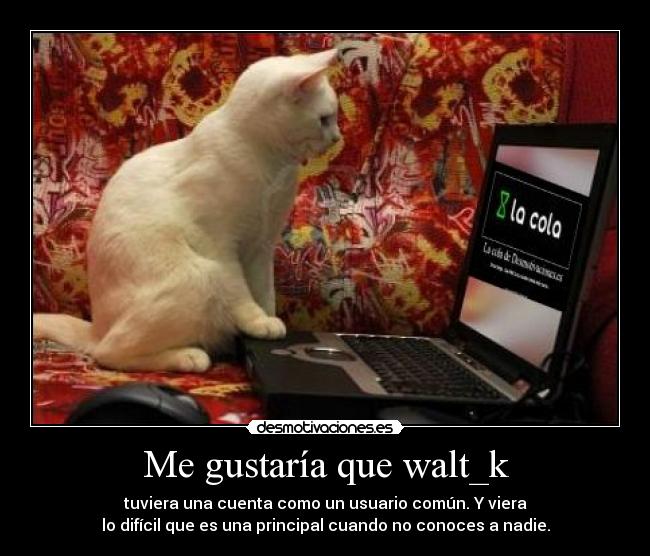 Me gustaría que walt_k - tuviera una cuenta como un usuario común. Y viera
lo difícil que es una principal cuando no conoces a nadie.