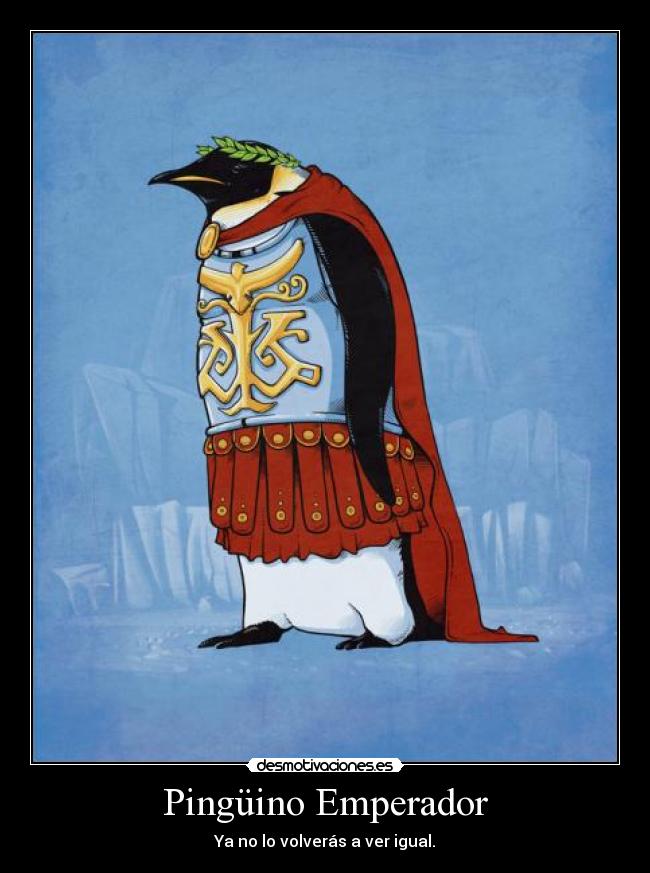 Pingüino Emperador - Ya no lo volverás a ver igual.