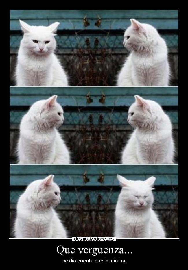 Que verguenza... - se dio cuenta que lo miraba.