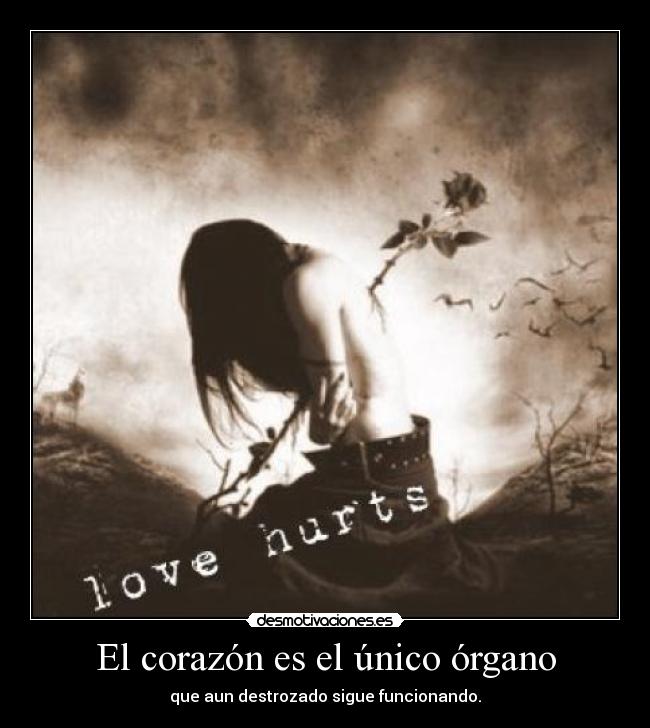 carteles corazon corazon desmotivaciones