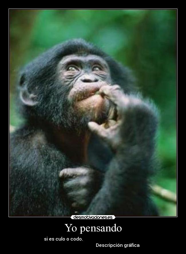 Resultado de imagen de yo pensando