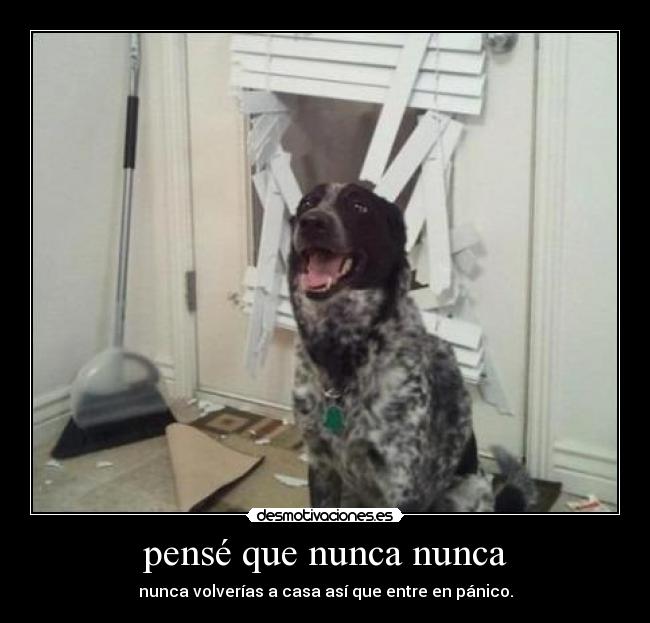 pensé que nunca nunca - nunca volverías a casa así que entre en pánico.