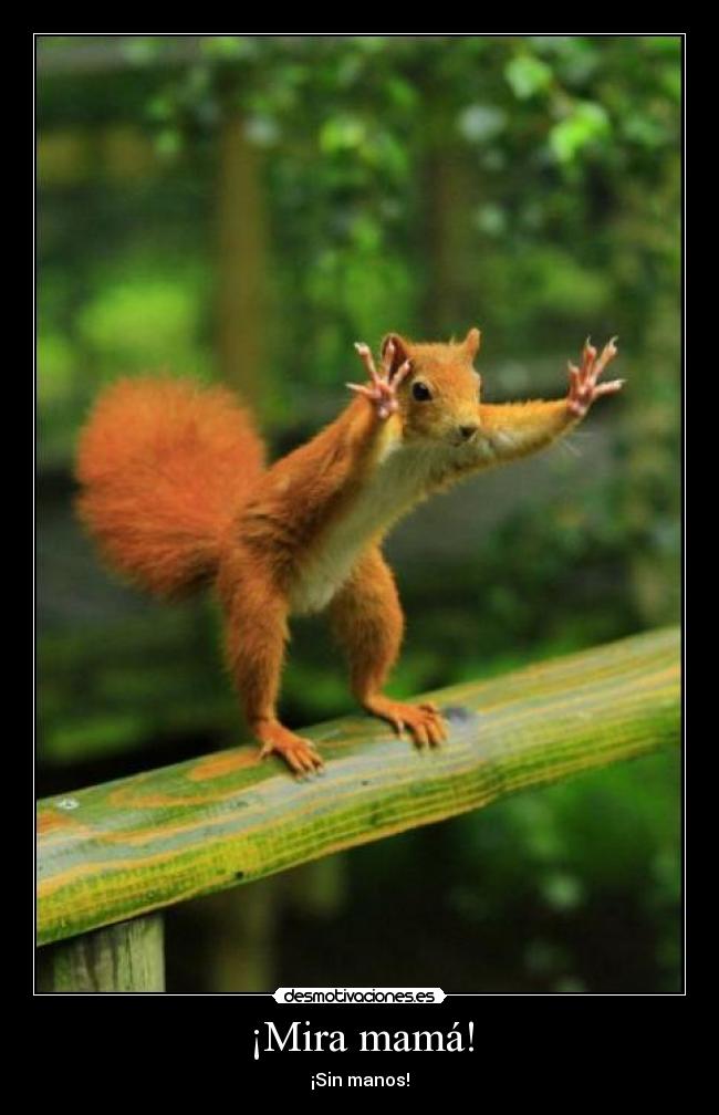 ¡Mira mamá! -