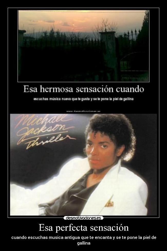 Esa perfecta sensación - 