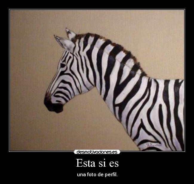 carteles perfil desmotivaciones