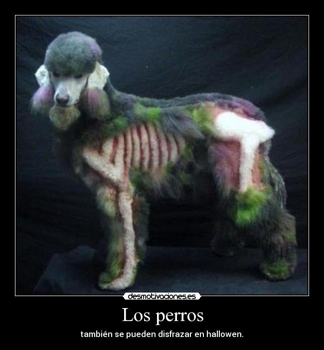 carteles hallowen desmotivaciones