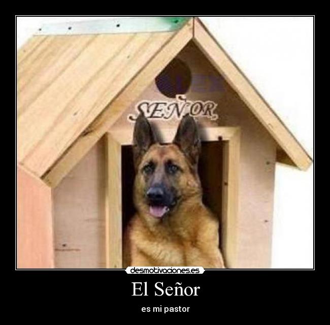 El Señor - es mi pastor