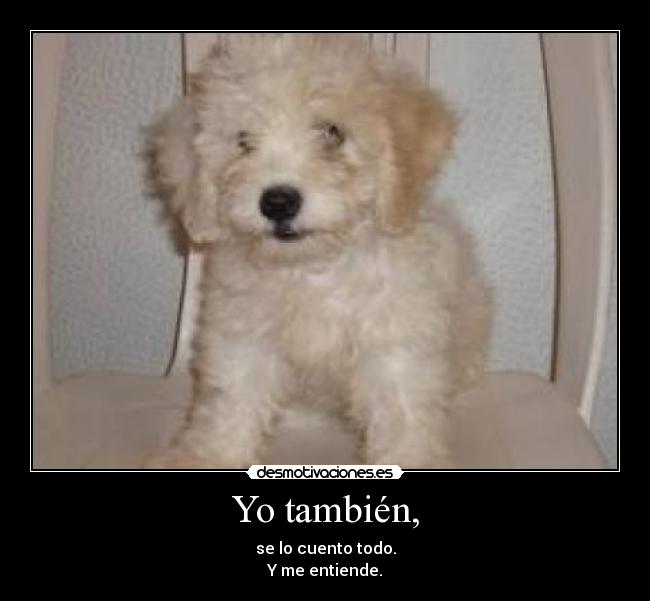 Yo también, -