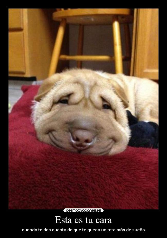 Esta es tu cara -