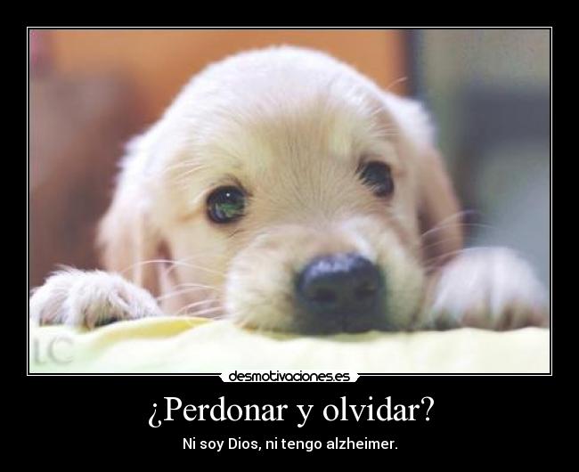 ¿Perdonar y olvidar? -