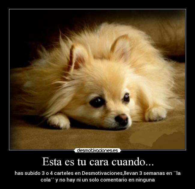 Esta es tu cara cuando... - has subido 3 o 4 carteles en Desmotivaciones,llevan 3 semanas en ``la
cola´´ y no hay ni un solo comentario en ninguna