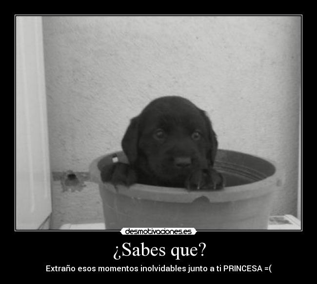 ¿Sabes que? - 
