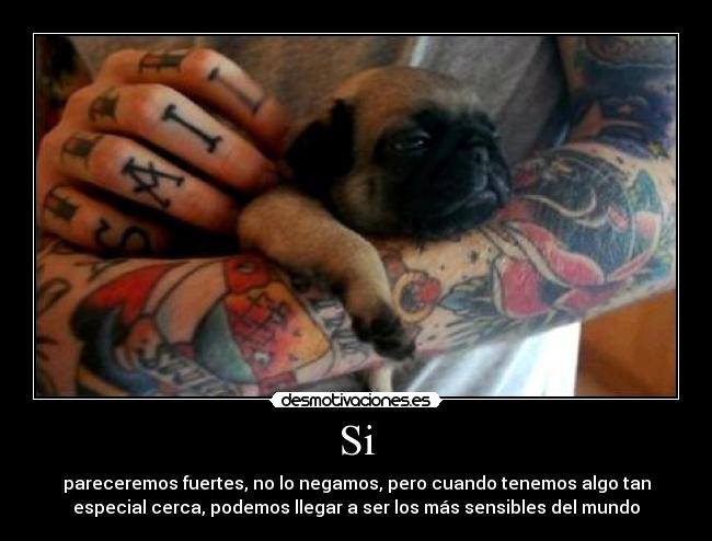 Si - pareceremos fuertes, no lo negamos, pero cuando tenemos algo tan
especial cerca, podemos llegar a ser los más sensibles del mundo