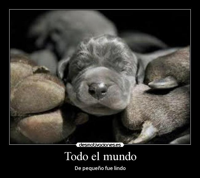 Todo el mundo - De pequeño fue lindo